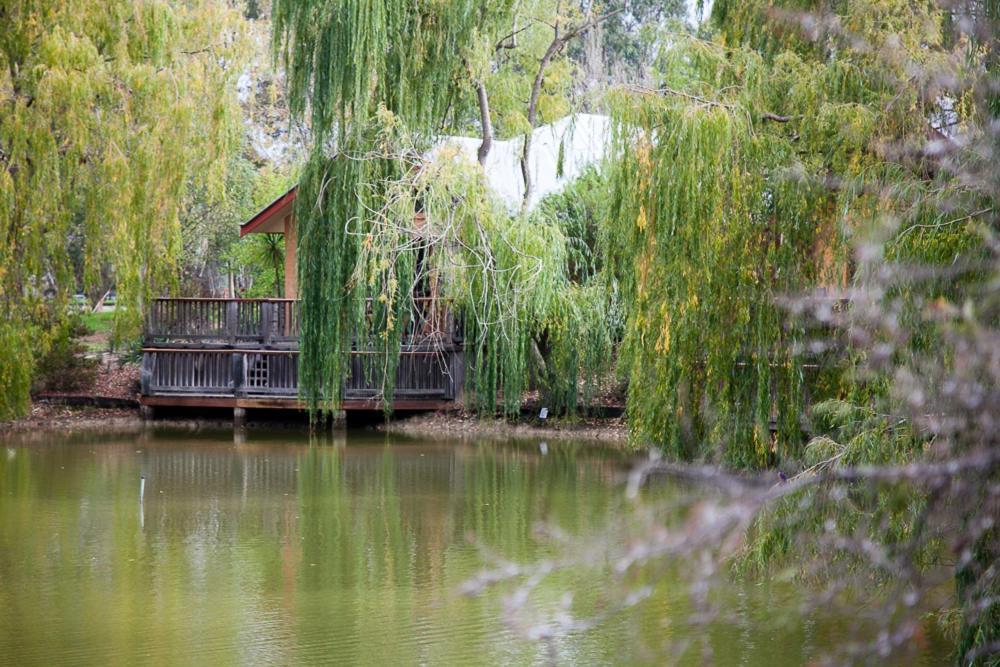 Perricoota Vines Retreat Hotel Moama Cameră foto