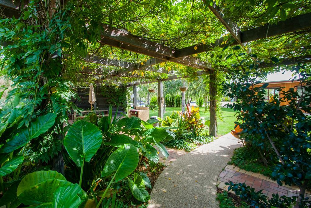 Perricoota Vines Retreat Hotel Moama Exterior foto
