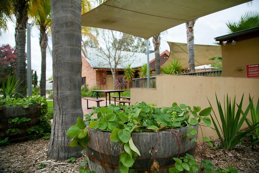 Perricoota Vines Retreat Hotel Moama Exterior foto
