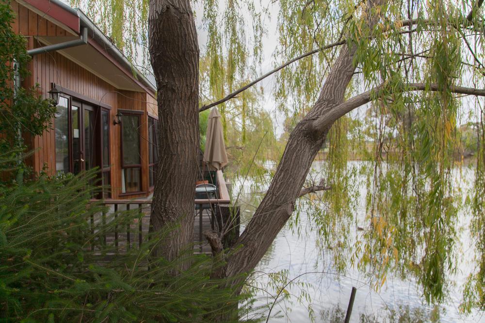 Perricoota Vines Retreat Hotel Moama Cameră foto