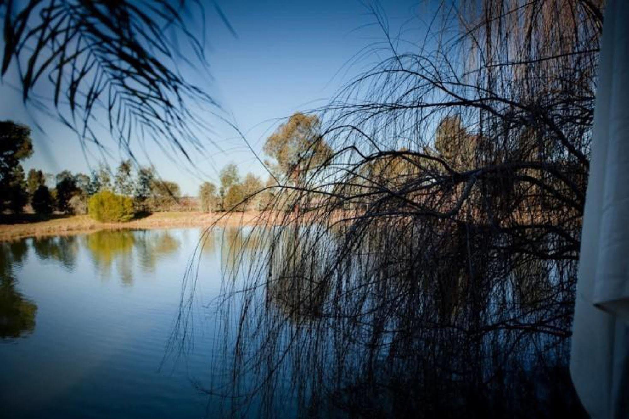 Perricoota Vines Retreat Hotel Moama Exterior foto